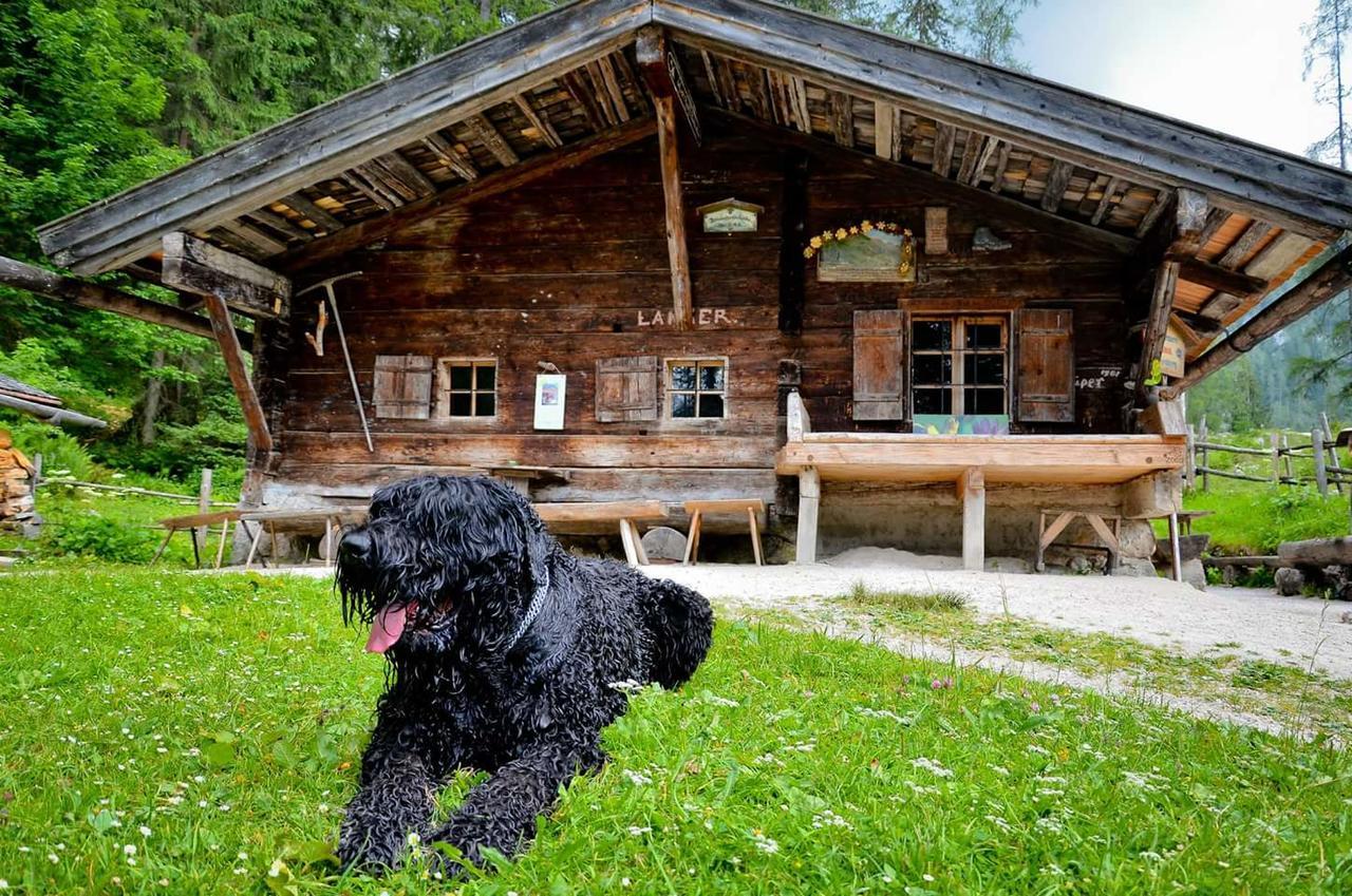 Pension Greti Schoenau am Koenigsee Exterior photo